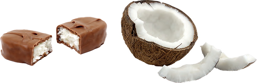 MMT-CPM-1000 Coconut Pressing Machine